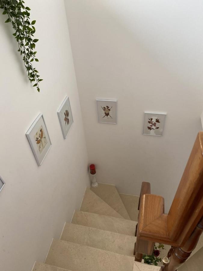 Casa Da Avo Fatima Διαμέρισμα Góis Εξωτερικό φωτογραφία